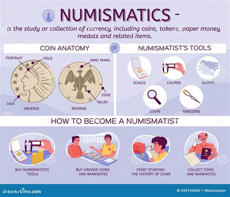 Coin Numismatics Flat Infographics Stock Vector - Illustration of rich ...