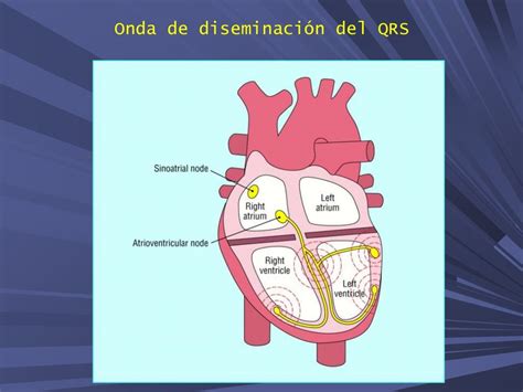 2015 Curso De Electrocardiografia Revisado Y Actualizado