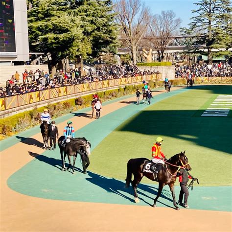 東京競馬場で逢おう 根岸s 2023 府中白糸台日記