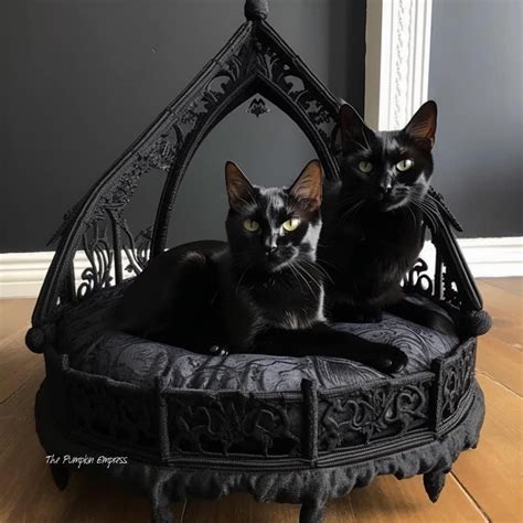 Dark Home Decor Goth Home Decor Crazy Cat Lady Crazy Cats Cat Towers Cat Room Gothic House