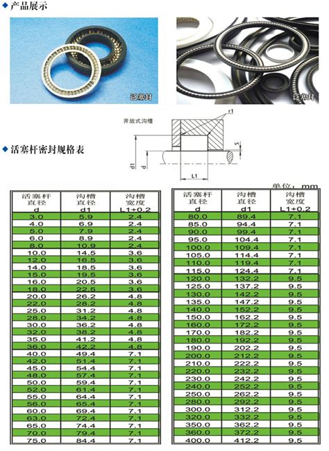 活塞密封杆大连创佳氟塑胶密封有限公司