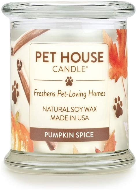 One Fur All Pumpkin Spice Natural Soy Wax Candle The Best Candles On