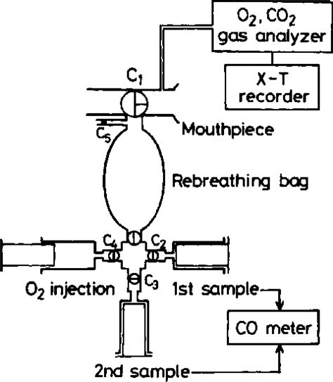 Figure From Simultaneous Measurement Of Cardiac Output And Pulmonary