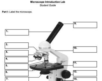 Microscope Introduction Lab by Ms Evans STEM Classroom | TPT