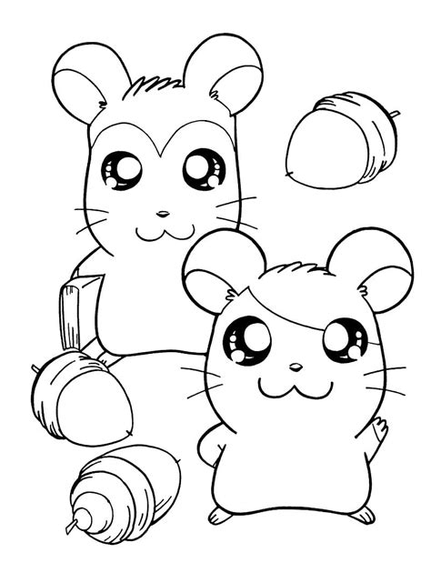 Coloriage Hamtaro et Pashmina télécharger et imprimer gratuit sur