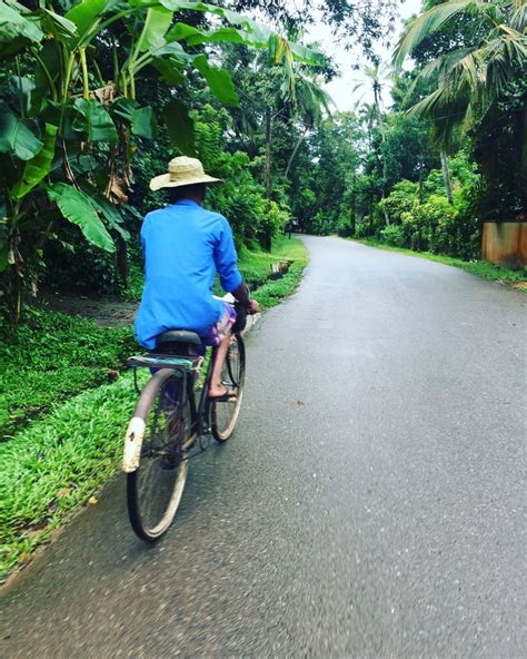 Village Life in Paradise Island Sri Lanka | Village life, Life in paradise, Village