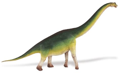 Brachiosaurus Pictures And Facts The Dinosaur Database