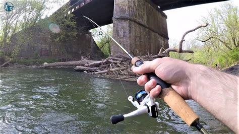 5 Best Fishing Rods For Trout Ultimate Guides in 2023