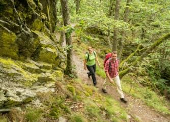 Wildnis Geschenke Aus Dem Nationalpark Eifel Tourismus Eifel