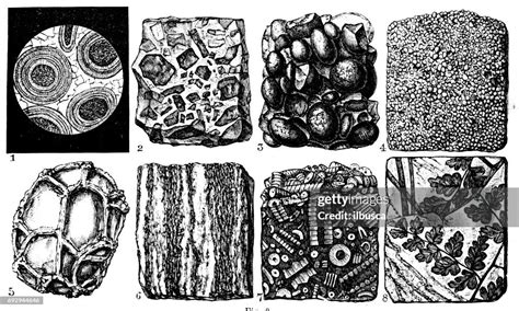 Antique Engraving Illustration Minerals And Ores High Res Vector