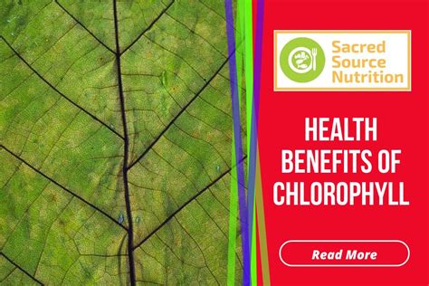 The Many Health Benefits Of Chlorophyll