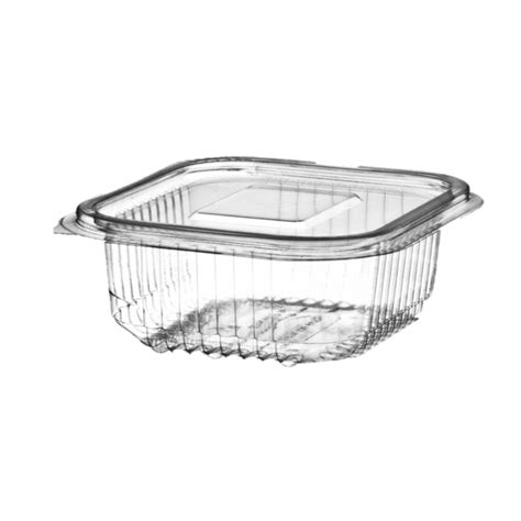 Bulk Value 250cc Clear Plastic Containers With Hinged Lid