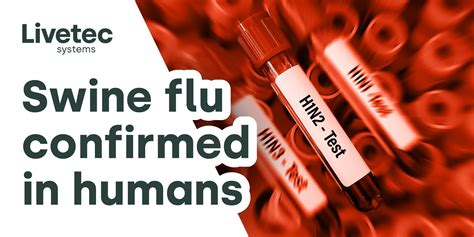 Swine Flu Confirmed In Humans Livetec