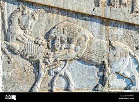 Apadana Stairway Facade Ancient Relief Persepolis Bull And Lion