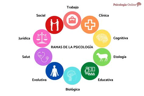 11 Datos Psicológicos Interesantes Sobre El Comportamiento Humano ️ Mentalidad Humana