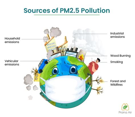 What is PM2.5 particulate matter? | SOURCES & IMPACTS