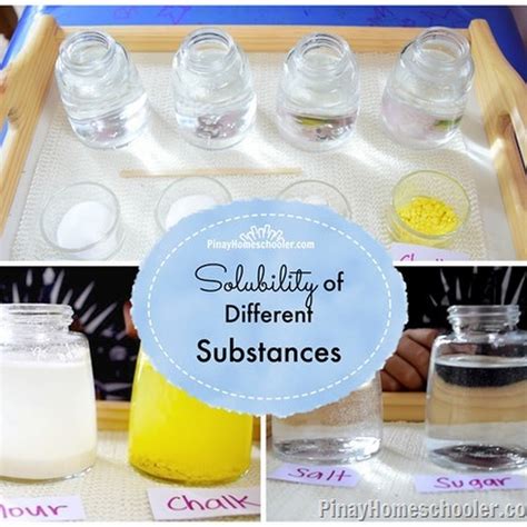 Science Experiments Solubility Of Different Substances The Pinay