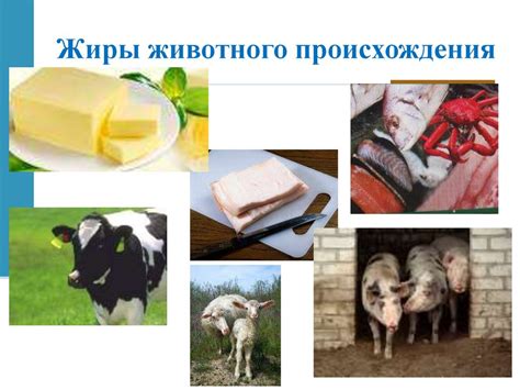 Биологически важные вещества жиры - online presentation