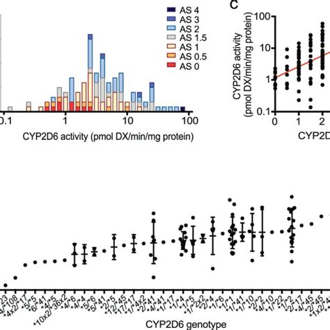 Cyp2d6 Protein Amount Governs Cyp2d6 Activity Levels In Human Liver