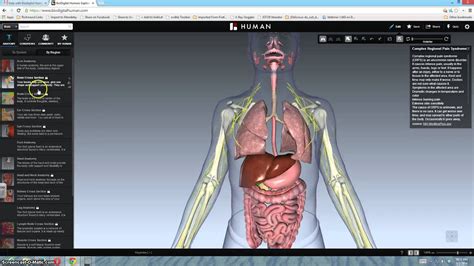 Exploring Biodigital Human Youtube