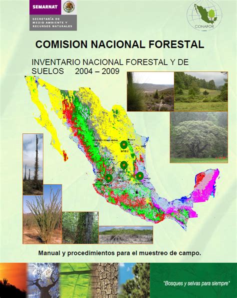 Manual De Muestreo En Campo 2009 2014 INFyS Idefor Cnf Gob Mx