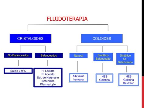 Ppt Fluidoterapia En El Paciente Cr Tico Puesta La D A Powerpoint