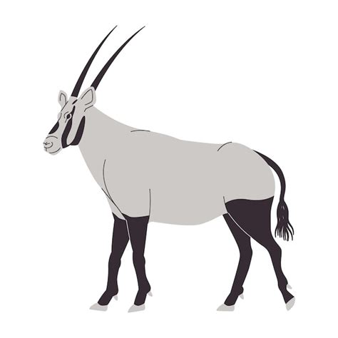 Oryx Vectors And Illustrations For Free Download Freepik