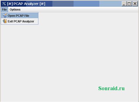 PCAP Analyzer - для анализа файлов PCAP | sonraid.ru