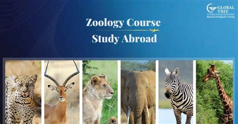 Zoology Course Abroad: Universities, Eligibility, Future Scope, Jobs & More