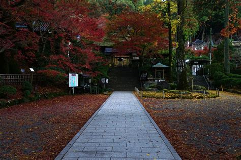 フォトギャラリー｜大興善寺（公式ホームページ）