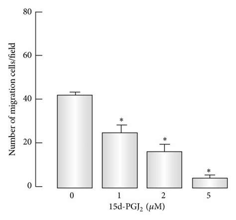 Effects Of D Pgj On Bmscs Migration And Proliferation A And B