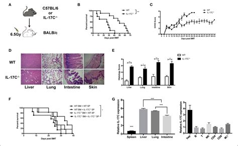 Figure From Il C Mitigates Murine Acute Graft Vs Host Disease By