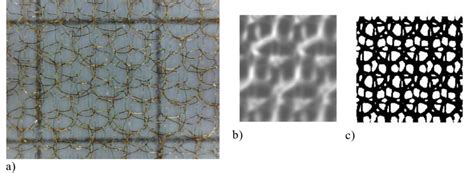 type  mesh  picture   mesh  average mesh  grey scale