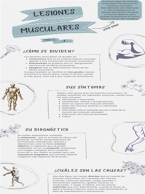 Infografía Sobre Las Lesiones Pdf Músculo Esquelético Asma