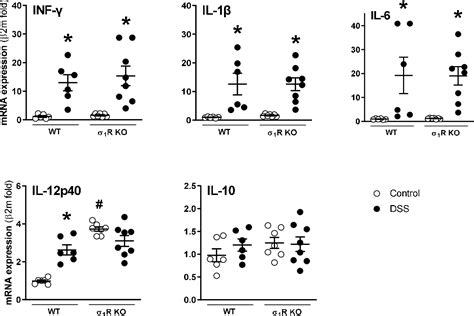 Figure 1 From Genetic And Pharmacological Blockade Of Sigma 1 Receptors