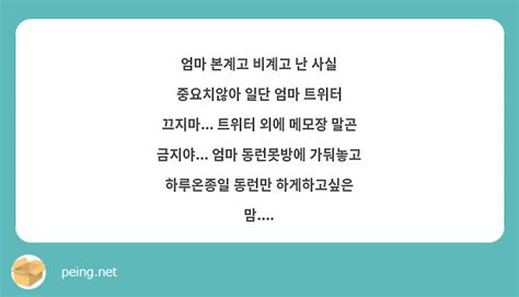 엄마 본계고 비계고 난 사실 중요치않아 일단 엄마 트위터 끄지마 트위터 외에 메모장 말곤 Peing 질문함