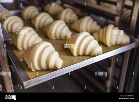 pre baked proofed croissant dough stock photo alamy