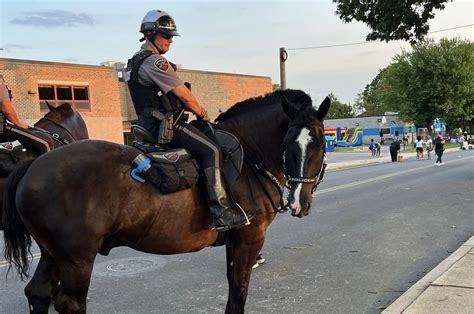 Mounted Unit horses donated to N.J. State Police - One United Lancaster