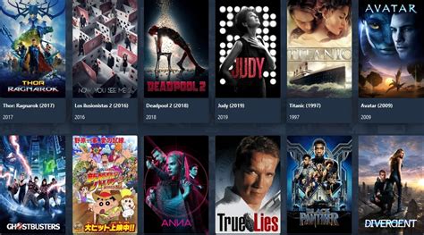 Ver Peliculas Online Gratis 2024 Pelisplus Mil Fidelity