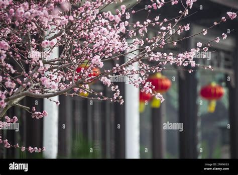 Jiangnan gardens - li garden Stock Photo - Alamy