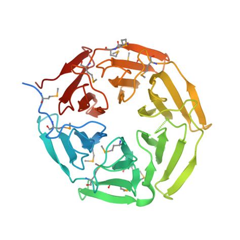 Rcsb Pdb Yy Crystal Structure Of The Kelch Domain Of Human Ns Bp