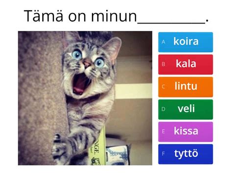 Suku Ja Lemmikit Monivalinta