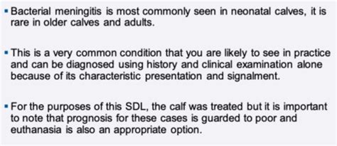 Neurological Conditions In Calves Flashcards Quizlet