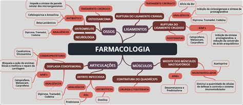 Mapas Mentais Sobre FARMACOLOGIA Study Maps