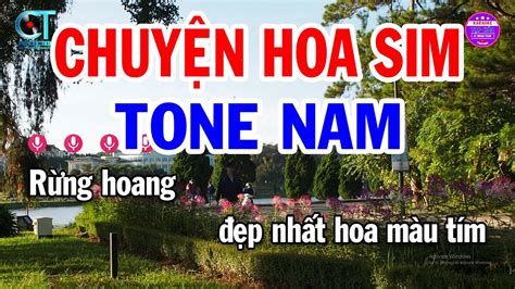 Karaoke Chuy N Hoa Sim Tone Nam Nh C S Ng M I Hay T P H A Karaoke