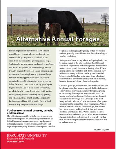 Beef And Dairy Cattle Vaccination Programs