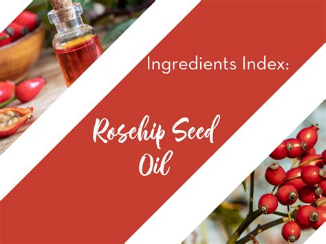 Ingredients Index Rosehip Seed Oil