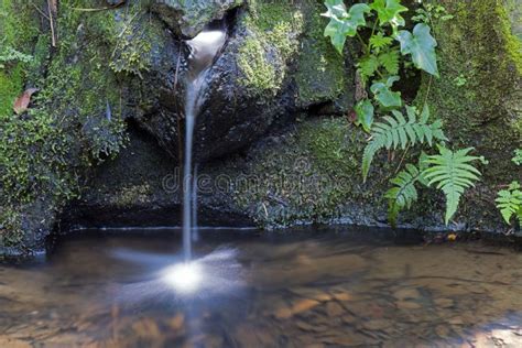 Paisajes De Fuentes De Agua