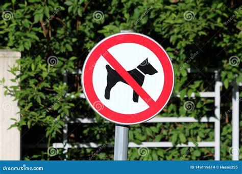 No Dogs Allowed White Round Metal Sign With Black Image Of Dog Crossed