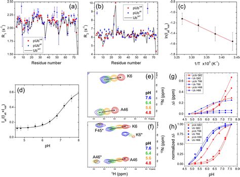 Nmr Characterization Of The Two Conformers Of Pub Ab Longitudinal